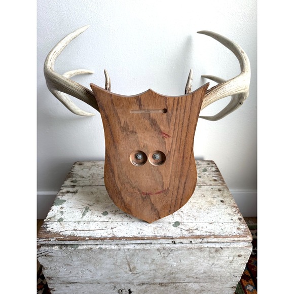 8 Point Whitetail Deer Antler Rack on Oak Plaque Rustic Michigan Mount 20" Wide - Picture 7 of 16